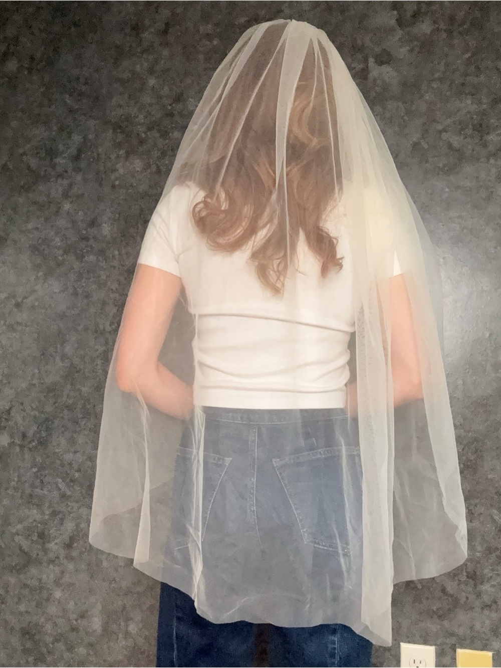 Blush Fingertip-Length Bridal Veil — Single Tier with Comb NWOT